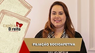 Explica Direito Filiação Socioafetiva  2019 [upl. by Llekim221]