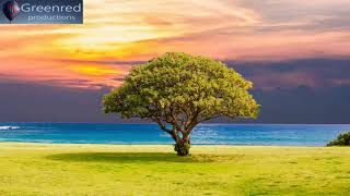 Serotonin Release Music with Alpha Waves  10 Hz Binaural Beats Healing Music Happiness Frequency [upl. by Besnard857]